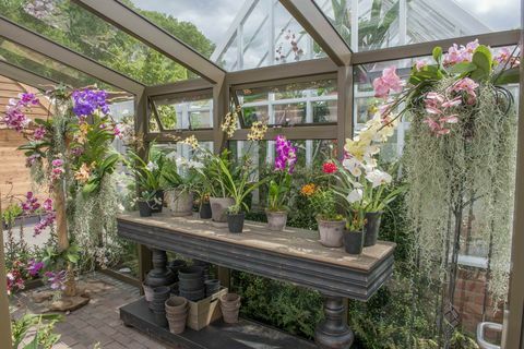 Hartley Botanic - Exposição de Flores de Chelsea