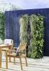 Dobbies Centros de jardinagem lançam plantadores de paredes vivas