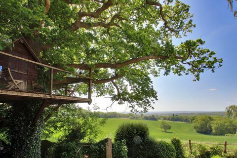 Roughway Cottage - Kent - árvore - Savills