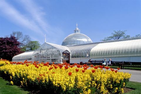 kibble palace e jardins botânicos de glasgow, glasgow, escócia