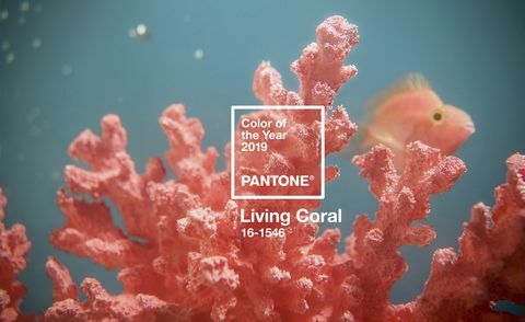 Cor Pantone do Ano 2019 - Living Coral