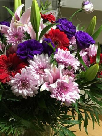 Close-up de flores em vaso