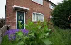 Maneiras fáceis de seu jardim poderia adicionar £ 5.000 ao valor de sua casa