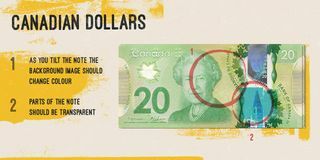 Dólar canadense - sinais de falsificação