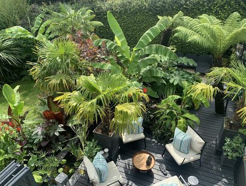 jardim com plantas da selva e área de estar