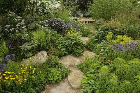 jardim rhs para um futuro verde projetado por jamie butterworth hampton court palace garden festival 2021