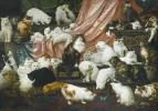 Leilão Sotheby para a maior pintura de gatos do mundo