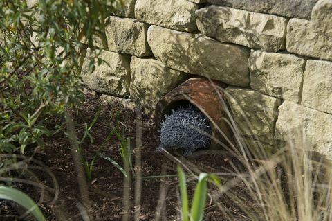 O primeiro jardim permanente da Hedgehog Street no Reino Unido foi inaugurado em RHS Harlow Carr, North Yorkshire