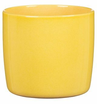 Vaso Solar Amarelo