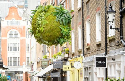 Anna Garforth, instalação do Rise Kokedama em St Christopher's Place, Londres