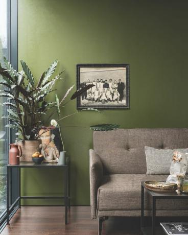 Sala de estar Green Farrow & Ball