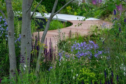 Tom Simpson Obtém Ouro por Pesquisa de Câncer Legacy Garden no Reino Unido Rhs Hampton Court 2021