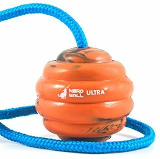 Nero Ball Ultra TM - Bola de treino de cães com corda - Brinquedo de exercício e recompensa para cães