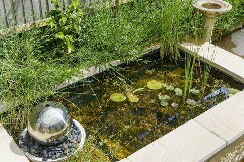 pequeno-jardim-redesign-lagoa