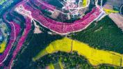 Esta filmagem por drone da flor da primavera da China é impressionante