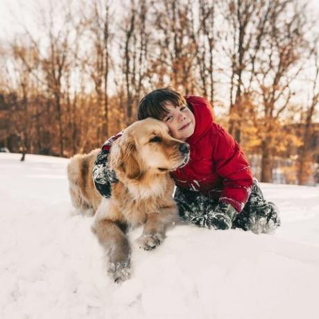 menino com cachorro na neve questionário de letras de natal