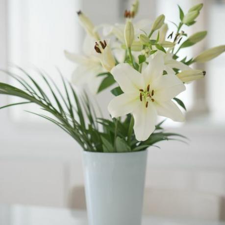 flor de lírio branco em um vaso