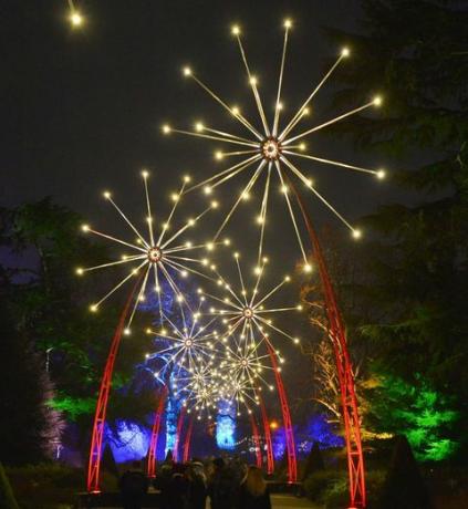 jardins kew iluminados para o natal