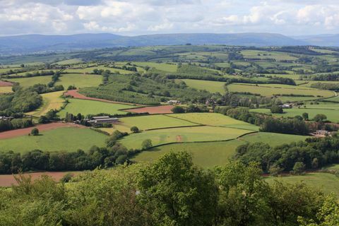 Kemeys Folly - Coed Y Caerau Lane - vista - Savills