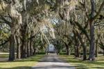 Esta propriedade histórica recentemente listada em Charleston é a parte superior dos seus sonhos