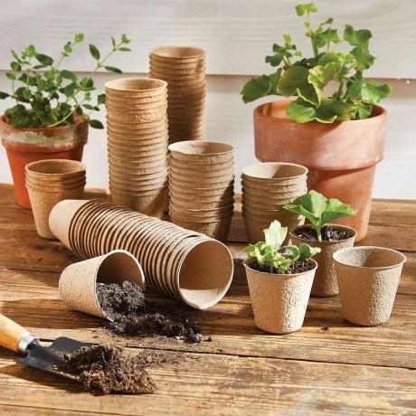 Pacote com 96 vasos de plantas biodegradáveis