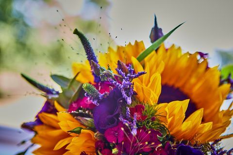 Casamento de verão no campo britânico