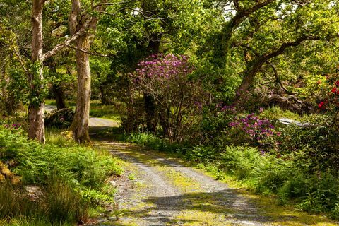 Castelo de Glengarriff à venda na Irlanda