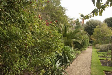 Chelsea Physic Garden, Londres, Inglaterra