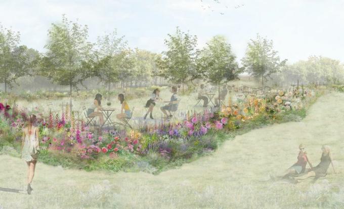 rose tea garden, rhs feature garden, projetado por pollyanna wilkinson, rhs hampton court palace garden festival 2022