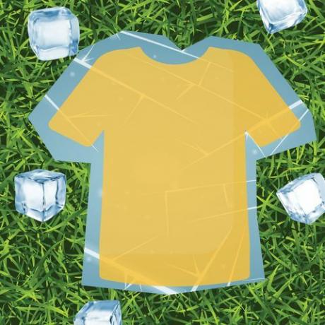 camiseta com cubos de gelo ao redor na grama