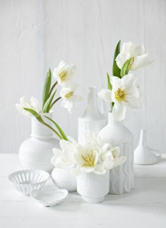 Tulipas brancas em vasos de porcelana