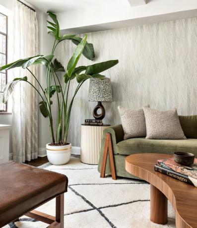 planta, sofá e mesa de centro