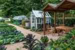 RHS Hampton: como cultivar seu próprio jardim de loteamento sem escavação