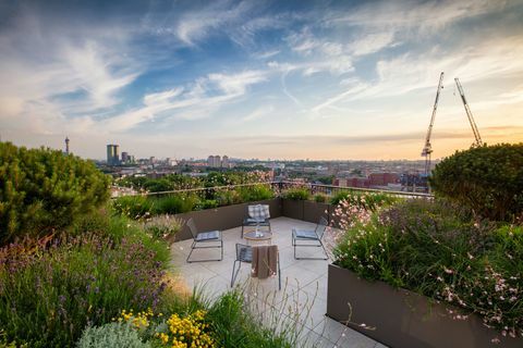 Prêmio Society of Garden Designers - Emily Erlam - Vencedora do Roof Garden Award - SGD Awards 2017. FOTO RICHARD BLOOM 