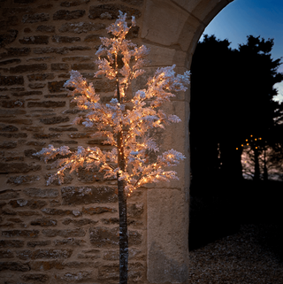 Interior Externo Grande Light Up Blossom Tree - Branco Suave