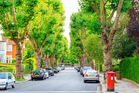 Rua ladeada de árvores em West Hampstead de Londres