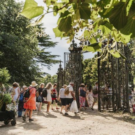 visitantes com compras de plantas no rhs hampton court palace garden festival 2022is