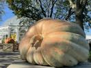 Três das maiores abóboras do nordeste dos EUA estão em exibição no Jardim Botânico de Nova York