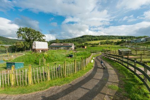 Fora do espaço rural - parque de vida selvagem à venda na Escócia 