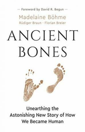 Ossos antigos: desenterrando a nova história surpreendente de como nos tornamos humanos