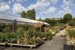 Segundo bloqueio: os centros de jardinagem na Inglaterra permanecerão abertos?