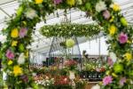 Tatton Park Flower Show 2019: Arco-íris de 5.000 dálias em exibição