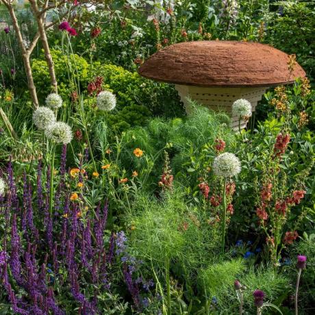 bbc studios nosso planeta verde e jardim de abelhas rhs projetado por joe swift rhs chelsea flower show 2022