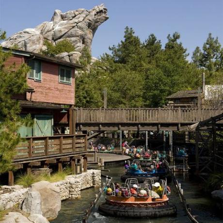 melhores jangadas de fotos da disney no passeio de emoção pelo rio grizzley