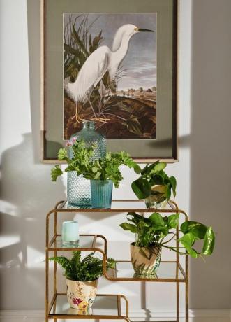 homewares homesense ss21