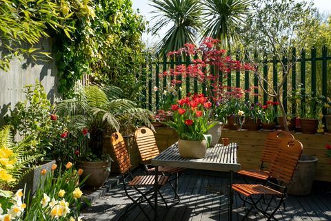 casa vitoriana com terraço moderno à venda em peckham rye, londo