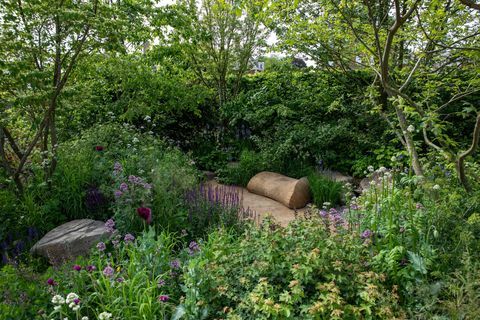 o jardim place2be garantindo amanhã projetado por jamie butterworth rhs chelsea flower show 2022