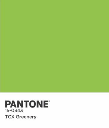 Pantone COTY 2017 Cor Chip