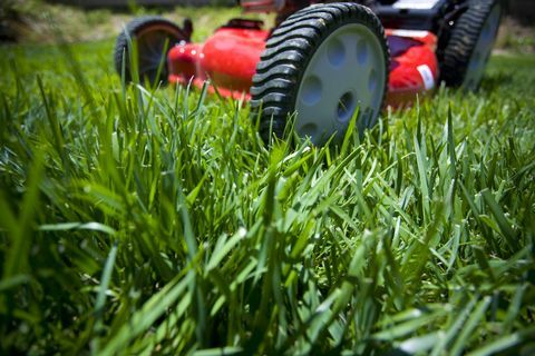 Cortar a grama: Profundidade de campo da frente de um cortador de grama em um gramado irregular.