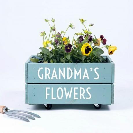 Idéias do presente de jardinagem para jardineiro sob £ 35